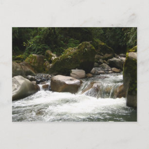 Cartão Postal Parque Nacional Manu