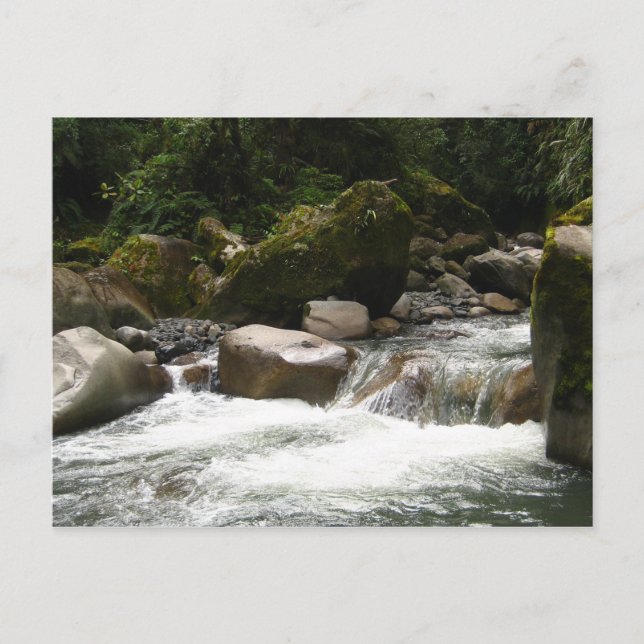 Cartão Postal Parque Nacional Manu (Frente)