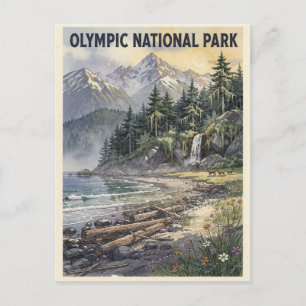 Cartão Postal Parque Nacional Olímpico Viagem Vintage