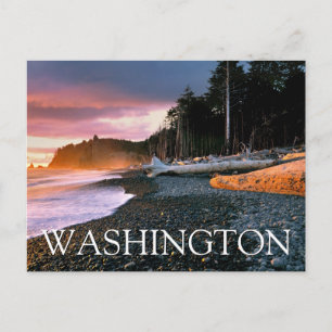 Cartão Postal Parque Nacional Olympic   Estado de Washington Obr