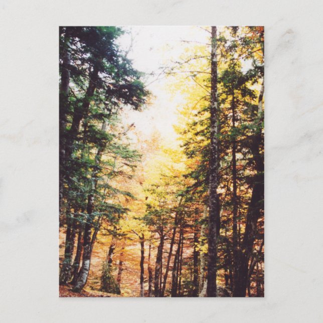 Cartão Postal Parque Nacional Ordesa (Frente)