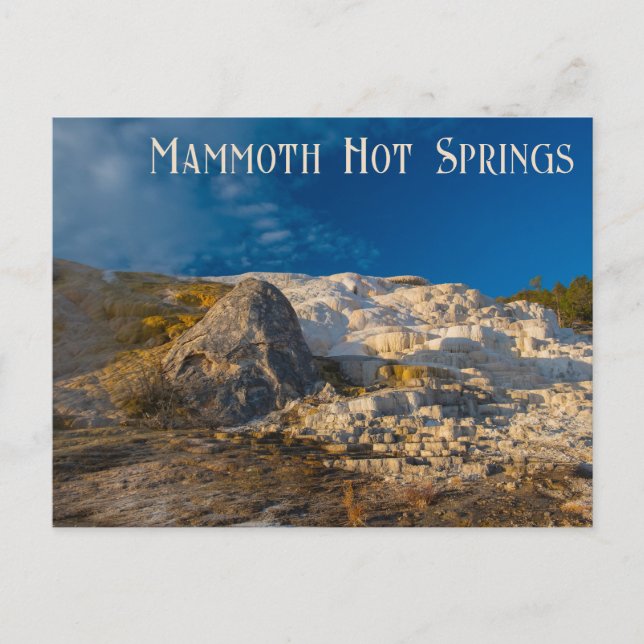 Cartão Postal Parque Nacional Palette Primavera Yellowstone (Frente)