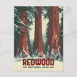 Cartão Postal Parque Nacional Redwood - Antiga Califórnia