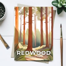 Parque Nacional Redwood | Árvores em Aquarela