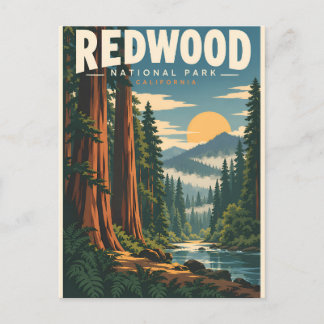 Cartão Postal Parque Nacional Redwood Califórnia Antigo
