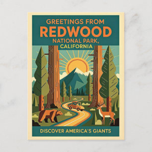 Cartão Postal Parque Nacional Redwood Califórnia Retro 1930s