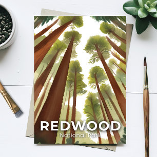 Cartão Postal Parque Nacional Redwood Floresta Alta Aquarela