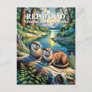 Cartão Postal Parque Nacional Redwood Lontras Van Gogh Moderno
