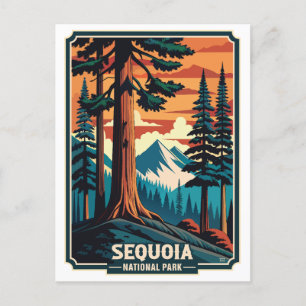 Cartão Postal Parque Nacional Retro Sequoia