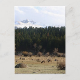 Cartão Postal Parque Nacional Rocky Mountain