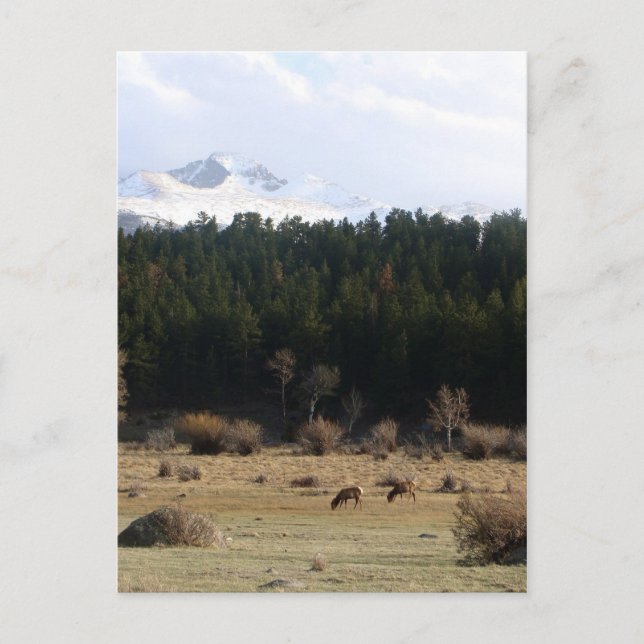 Cartão Postal Parque Nacional Rocky Mountain (Frente)