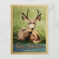 Parque Nacional Rocky Mountain Veado Vintage