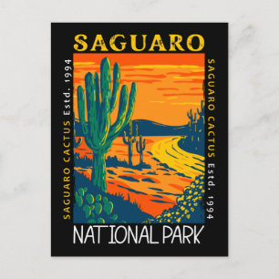 Cartão Postal Parque Nacional Saguaro Arizona Vintage Desgastado