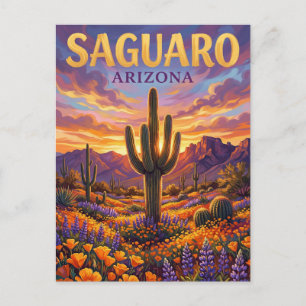 Cartão Postal Parque Nacional Saguaro EUA