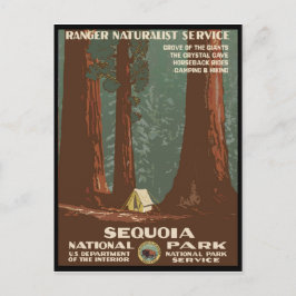 Cartão Postal Parque Nacional Sequoia