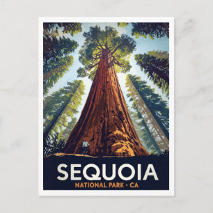 Cartão Postal Parque Nacional Sequoia Árvores Gigantes