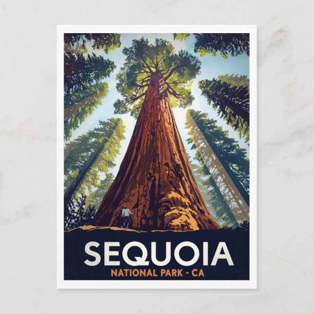 Cartão Postal Parque Nacional Sequoia Árvores Gigantes (Frente)