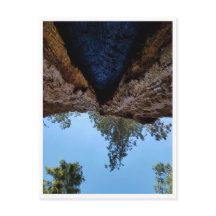 Parque Nacional Sequoia: Dias Cães