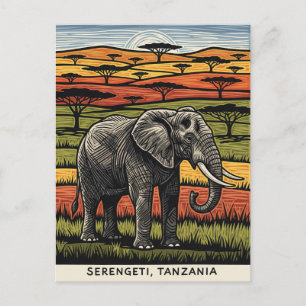 Cartão Postal Parque Nacional Serengeti Tanzânia