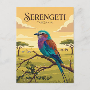 Cartão Postal Parque Nacional Serengeti Tanzânia