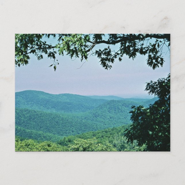 Cartão Postal Parque Nacional Shenandoah (Frente)
