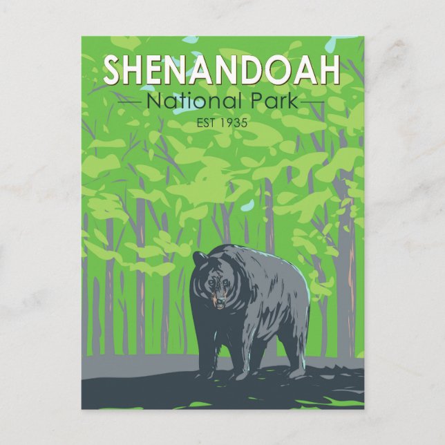 Cartão Postal Parque Nacional Shenandoah Urso Preto Vintage (Frente)