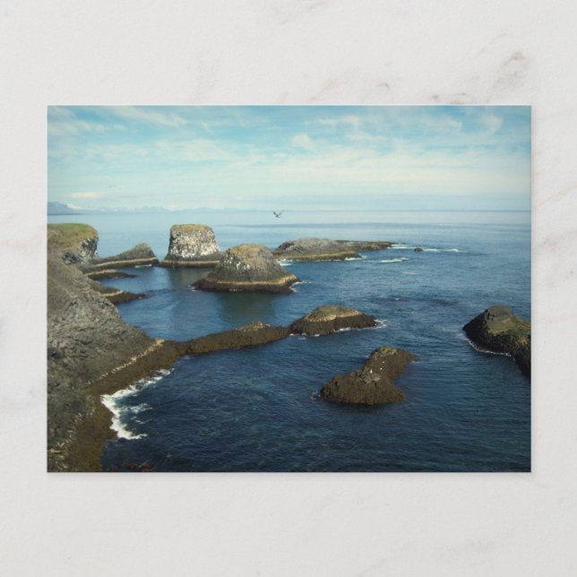 Cartão Postal Parque Nacional Snæ fellsjökull, Islândia (Frente)