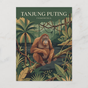 Cartão Postal Parque Nacional Tanjung Puting Indonésia