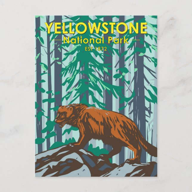 Cartão Postal Parque Nacional Wolverine Vintage, Yellowstone (Frente)