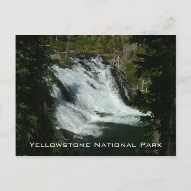 Cartão Postal Parque Nacional Yellowstone (Frente)