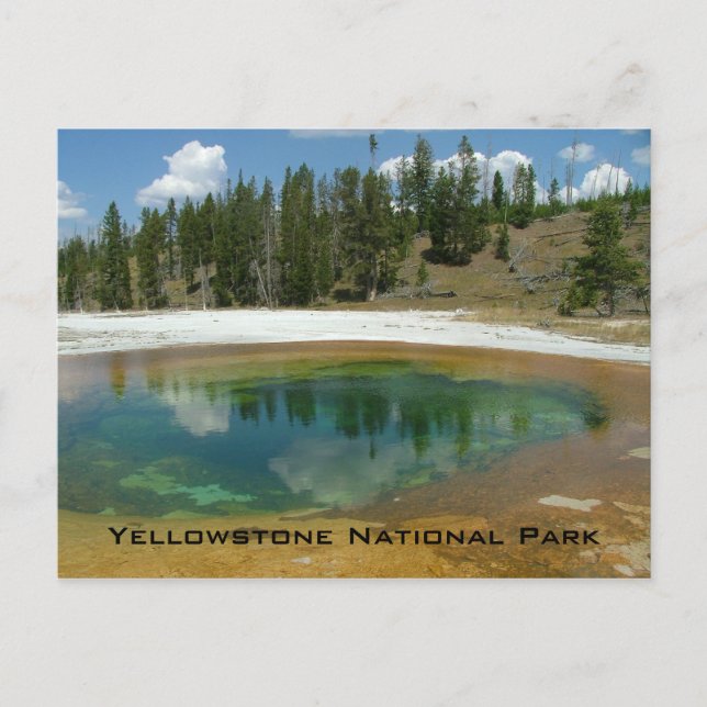 Cartão Postal Parque Nacional Yellowstone (Frente)