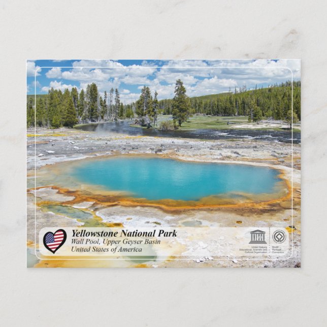 Cartão Postal Parque Nacional Yellowstone - Piscina de Muro (Frente)