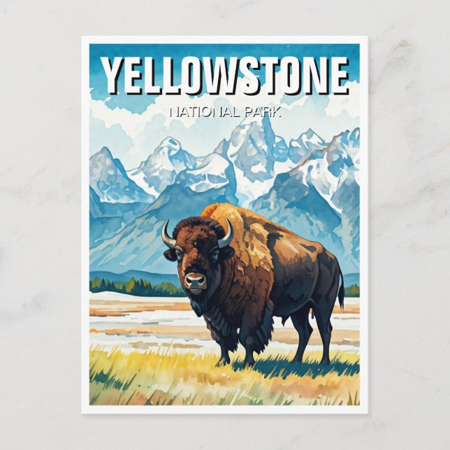 Cartão Postal Parque Nacional Yellowstone Souvenir (Frente)