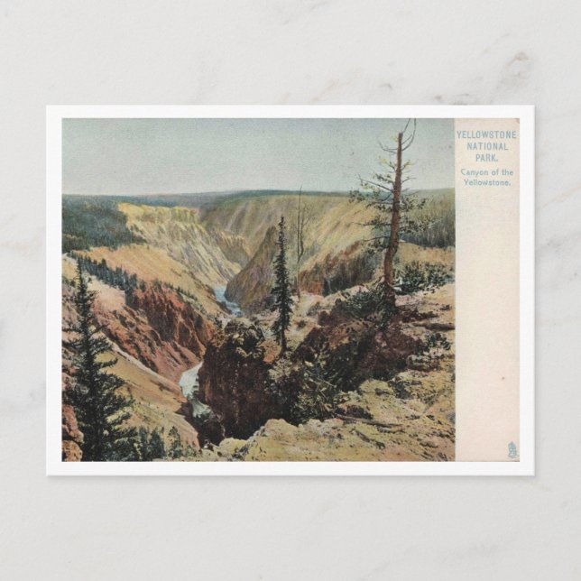 Cartão Postal Parque Nacional Yellowstone, Vintage (Frente)