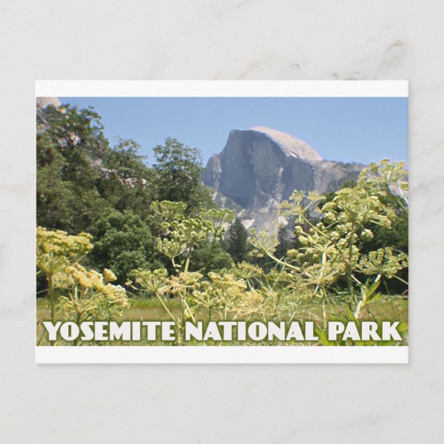 Cartão Postal Parque Nacional Yosemite (Frente)