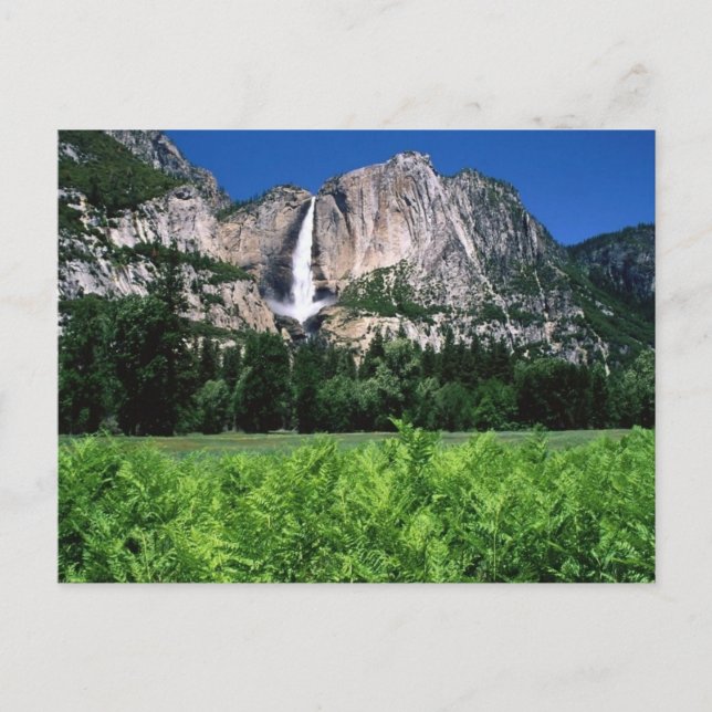 Cartão Postal Parque Nacional Yosemite, Ca (Frente)