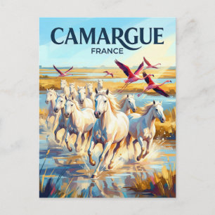 Cartão Postal Parque Natural Regional de Camargue França