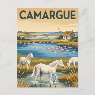 Cartão Postal Parque natural regional de Camargue França