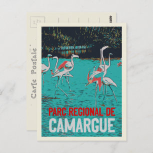 Cartão Postal Parque regional de Camargue, França, flamingos ros
