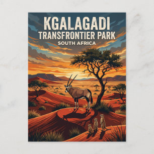 Cartão Postal Parque Transfronteiriço Kgalagadi África do Sul