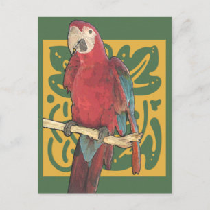 Cartão Postal Parrot Art Nouveau
