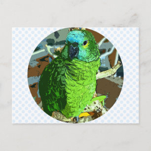 Cartão Postal Parrot Green