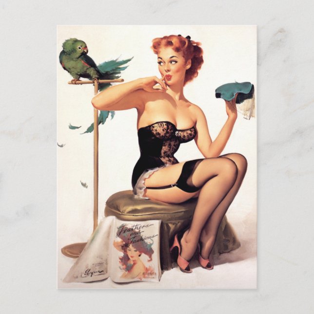 Cartão Postal Parrot Pin Up (Frente)