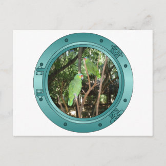 Cartão Postal Parrot Porthole