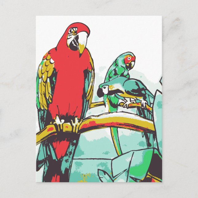 Cartão Postal Parrot Trio (Frente)