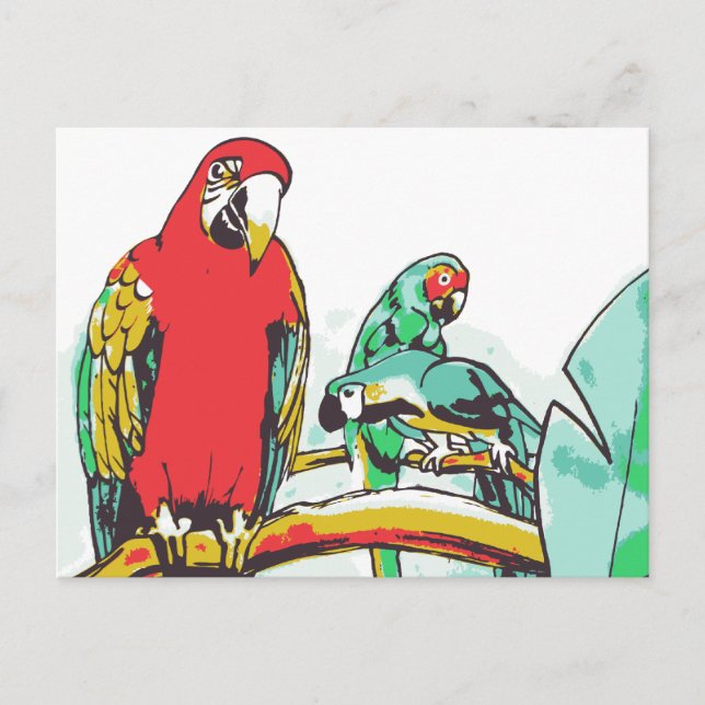 Cartão Postal Parrot Trio (Frente)