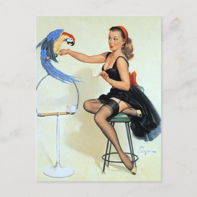 Cartão Postal Parrot Vintage Pin Up (Frente)