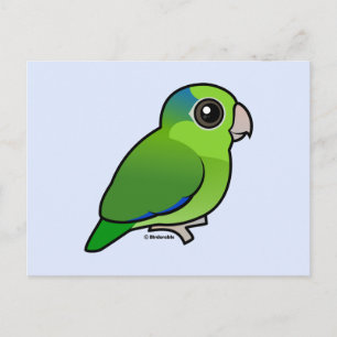 Cartão Postal Parrotlet Pacífico Verde