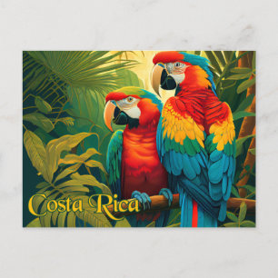 Cartão Postal Parrots da Costa Rica