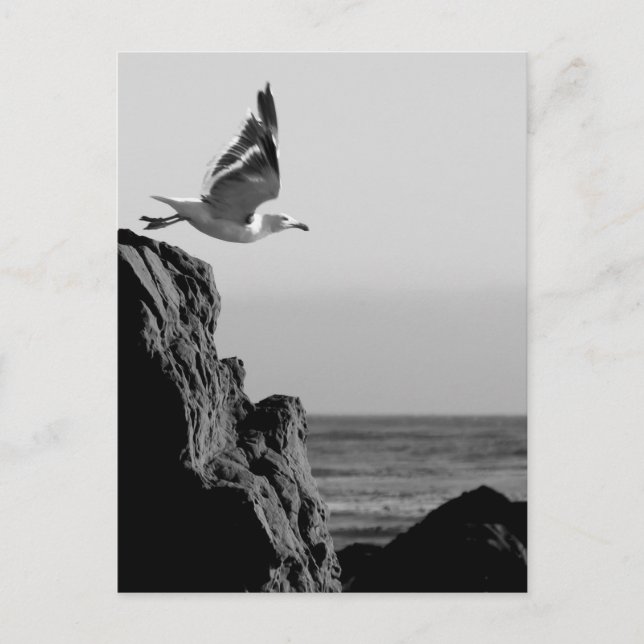 Cartão Postal Partes de Seagull (Frente)